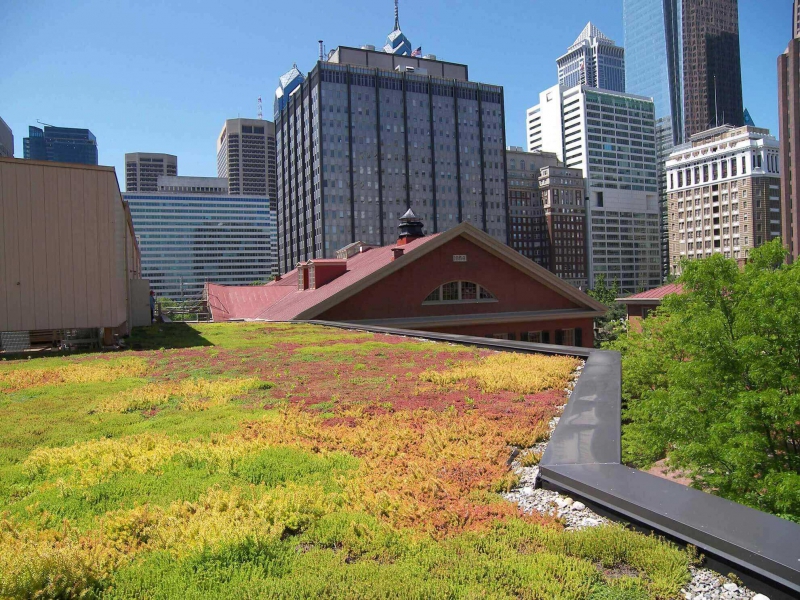 paysagiste-VILLECROZE-min_green-roof-portfolio-4